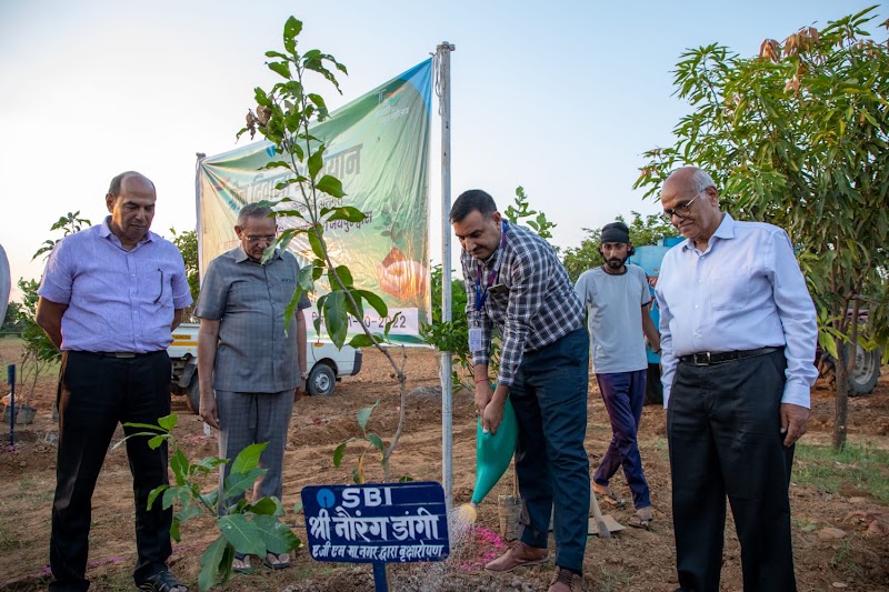 Vrikshawali - An Environmental Preservation Society - Vrikshawali - An Environmental Preservation Society, G.S. Residency 2nd, Flat No. F2, Plot No.141, Purani Chungi,, Ajmer Rd, Modi Nagar, Nirmohi Nagar, Jaipur, Rajasthan 302019, India