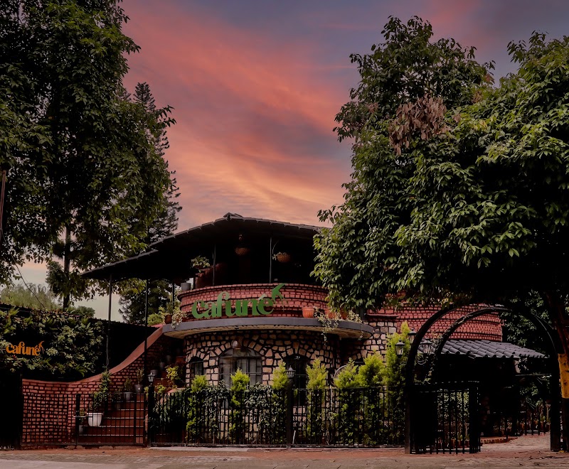 Cafune - Cafune 244/2, Kaulagarh Rd, Rajender Nagar, Dehradun, Uttarakhand 248001, India