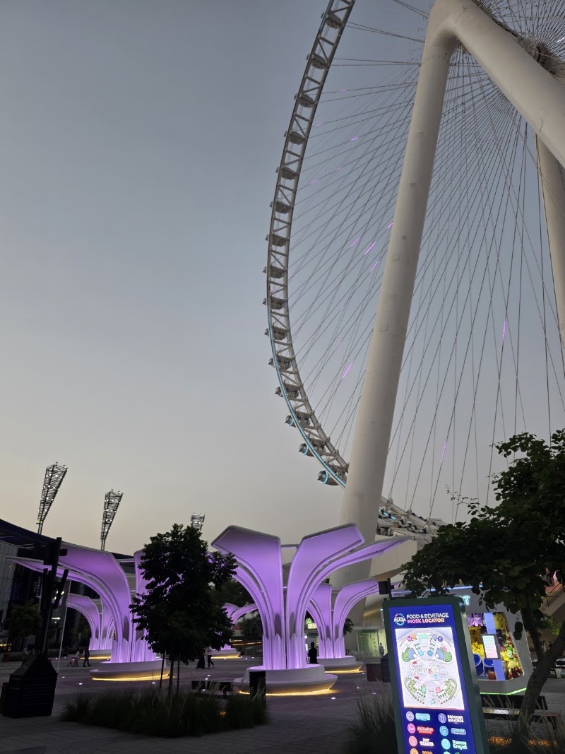 Bluewaters - Bluewaters 673C+W8M - Al Wasl - Dubai - United Arab Emirates