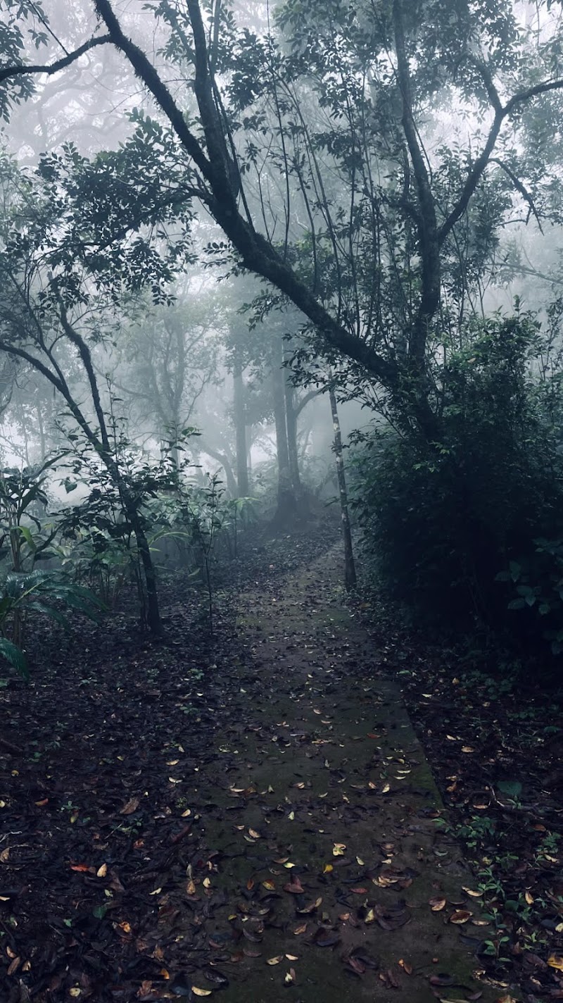 Thottom Stays Munnar - Thottom Stays Munnar Thondaman Kotta, Santhanpara, Kerala 685619, India