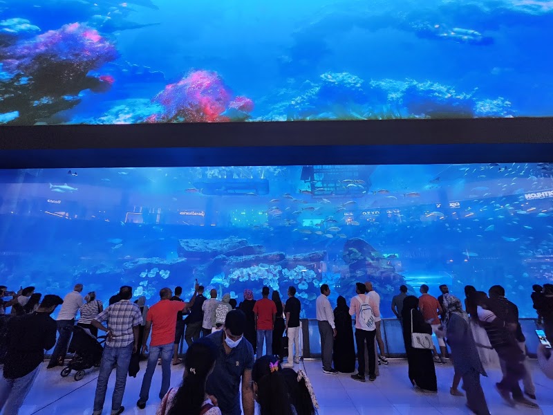 Dubai Aquarium & Underwater Zoo - Dubai Aquarium & Underwater Zoo Dubai - Burj Khalifa - Downtown Dubai - Dubai - United Arab Emirates