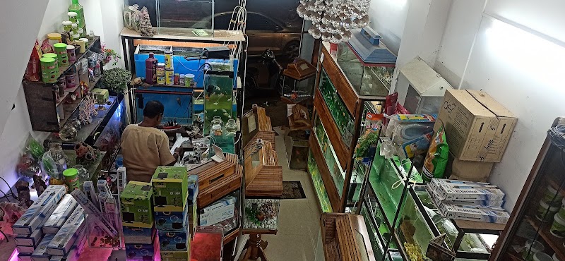 AR Fish hub - AR Fish hub, Street No. 1, Kohka, Bhilai, Chhattisgarh 490023, India