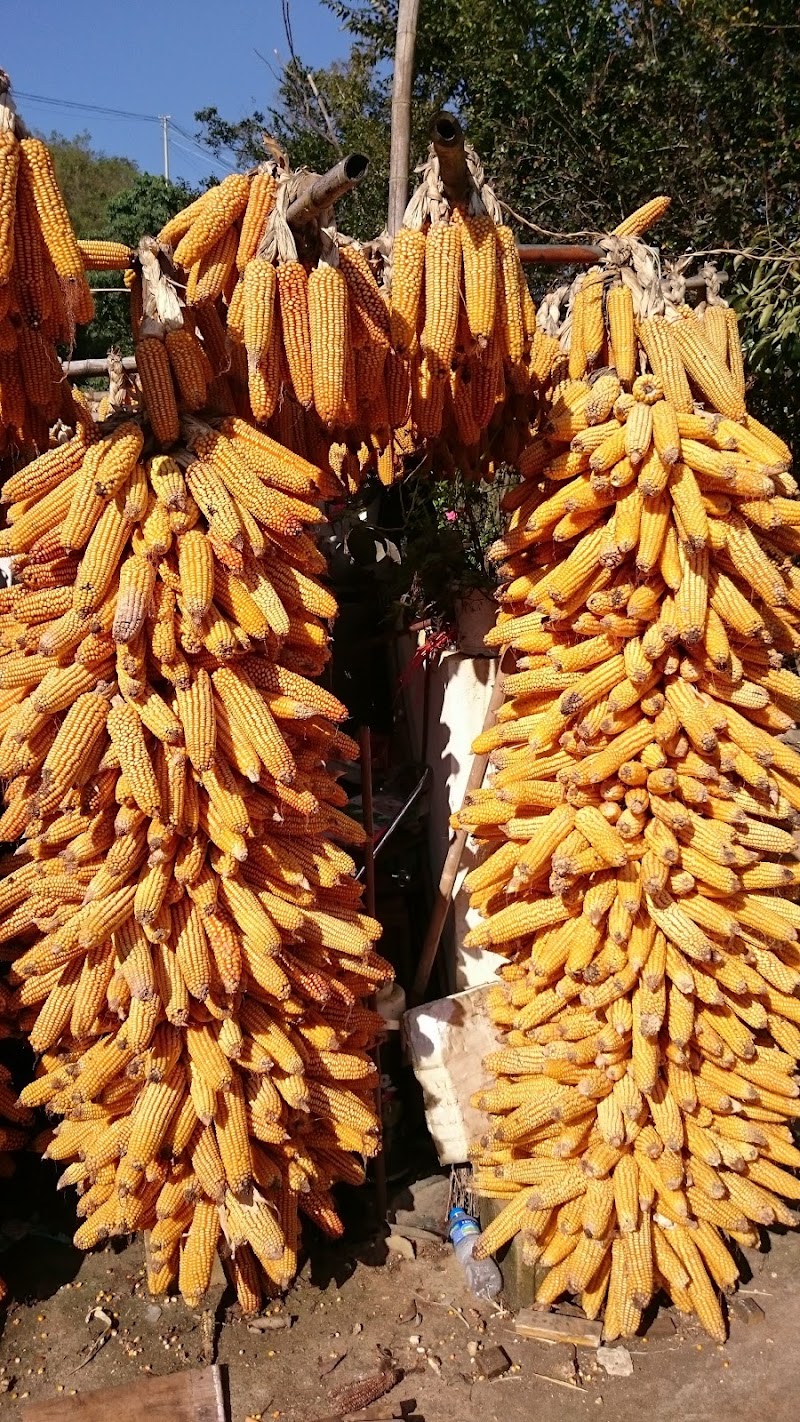 孤山岛 - 孤山岛, 9RGG+6X5, Jiangchuan District, Yuxi, Yunnan, China, 652605