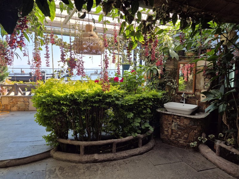 Mohan's Cafe - Mohan's Cafe, Road, near Kasar Devi Temple, Binsar, Mat, Uttarakhand 263601, India