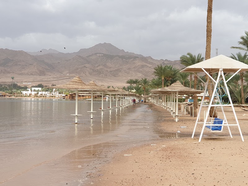 Blue Realm Dive Club - Blue Realm Dive Club, Lagoon Club & Resort, Dahab, South Sinai Governorate 8771501, Egypt