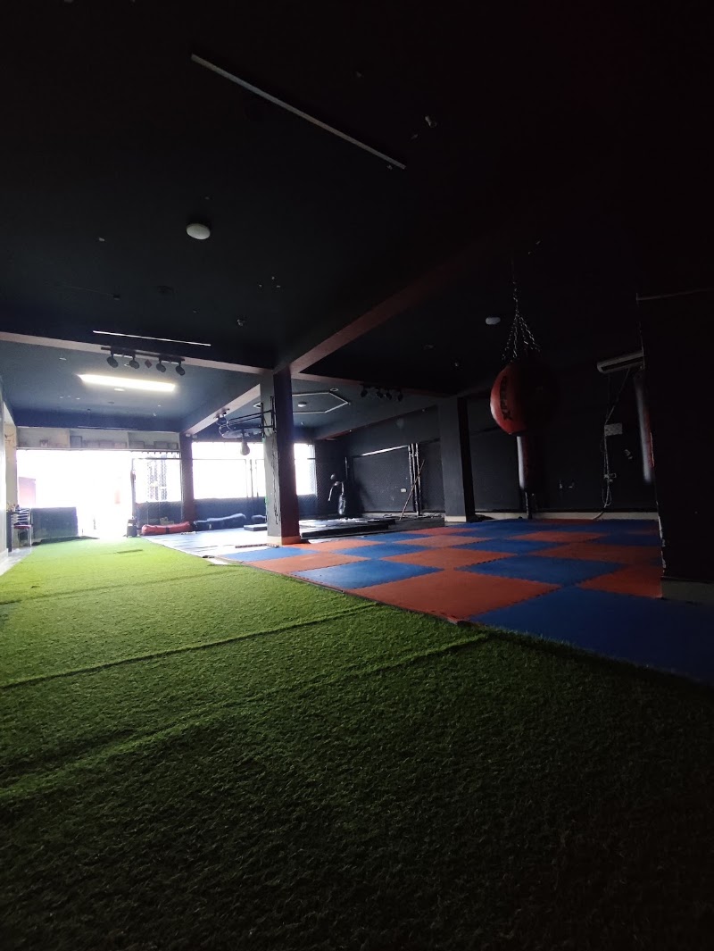 MMA Arena - MMA Arena, 5th flore, of pro fitness gym, South of Sai Lions Netralaya, Kankarbagh, Patna, Bihar 800020, India