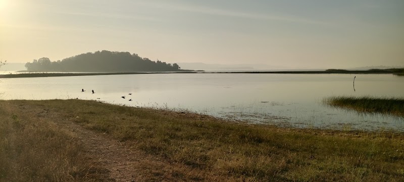Banjari Dam View Point - Banjari Dam View Point, RX86+GQ, Durgitola, Chhattisgarh 491661, India