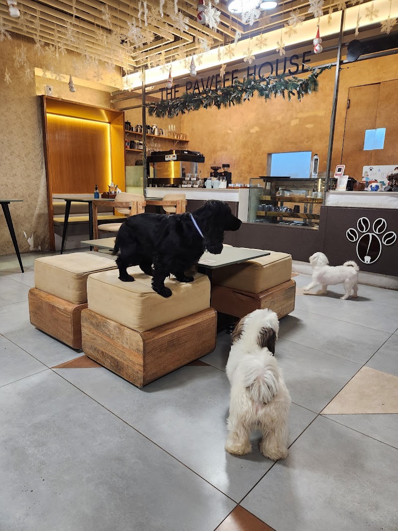 The Pawfee House - The Pawfee House FS-6, Gayatri Nagar, Maharani Farm, IHITC Durgapur, Durgapura, Jaipur, Rajasthan 302018, India