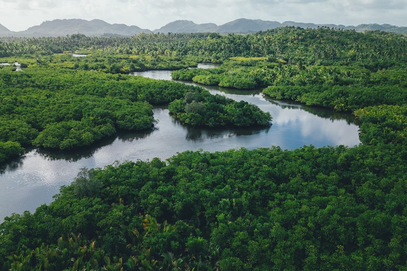 Coconut Plantation View Point - Coconut Plantation View Point, R365+WRH, Siargao Circumferential Rd, Pilar, Surigao del Norte, Philippines