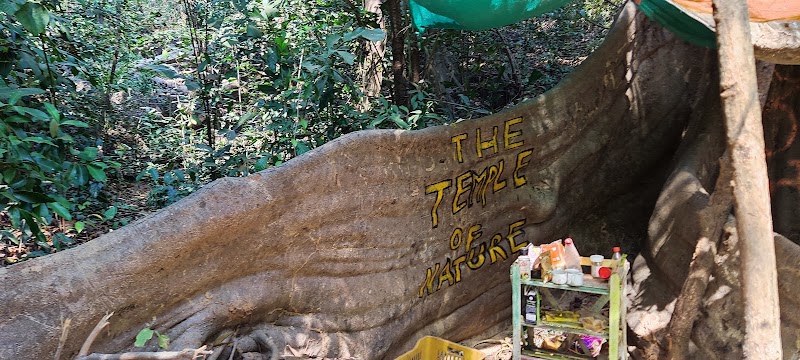 Sweet Water Sanctuary - Sweet Water Sanctuary, PM2X+3W, Arambol, Goa 403524, India