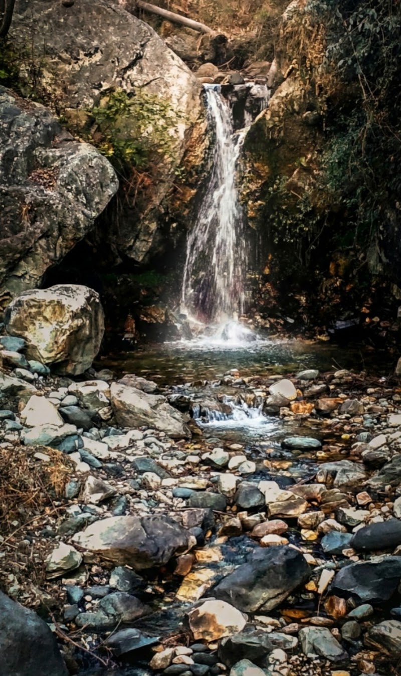 WOODS JIBHI - WOODS JIBHI WOODS JIBHI , BANJAR, Rashala, Himachal Pradesh 175123, India