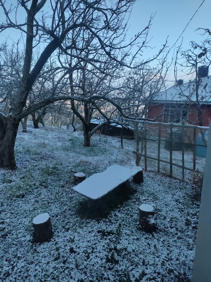 Pine Wood Homestay - Pine Wood Homestay 8F2J+WM7, Kotgarh Hospital Rd, Kotgarh, Himachal Pradesh 172031, India