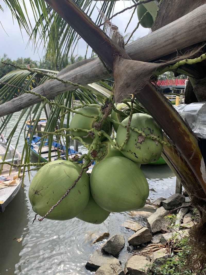 Coconut village Coconut Flowers(coconut boat&restaurant)) - Coconut village Coconut Flowers(coconut boat&restaurant)), Tổ 2, Thôn Vạn Lăng, Hội An Đông, Đà Nẵng, Vietnam