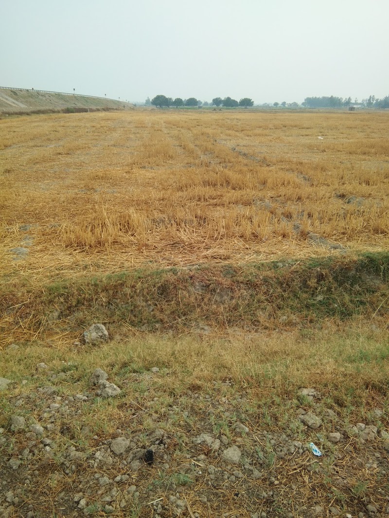Purvanchal Expressway - Purvanchal Expressway, Purvanchal Expy, Uttar Pradesh, India