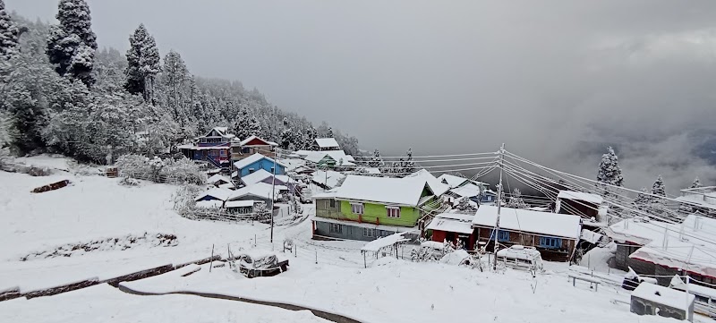 Arivhya Homestay - Arivhya Homestay, Chataidhura, Rishi Rd, Lepcha Jagat, Ghoom Pahar Forest, West Bengal 734221, India