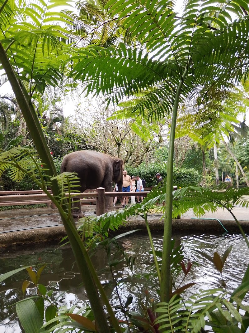 Ubud driver - Ubud driver, Petulu, Ubud, Gianyar Regency, Bali 80561, Indonesia