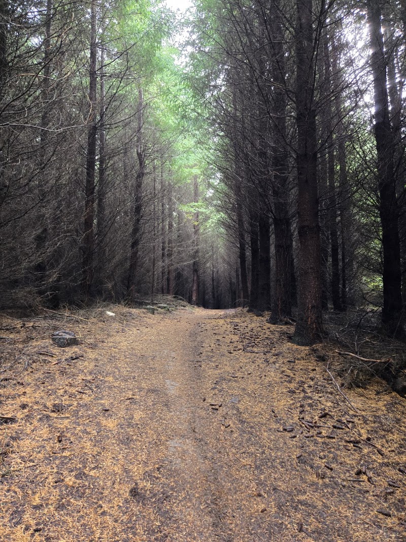 Pelennor Fields - Pelennor Fields, Q2FV+VP, Ben Ohau 7999, New Zealand