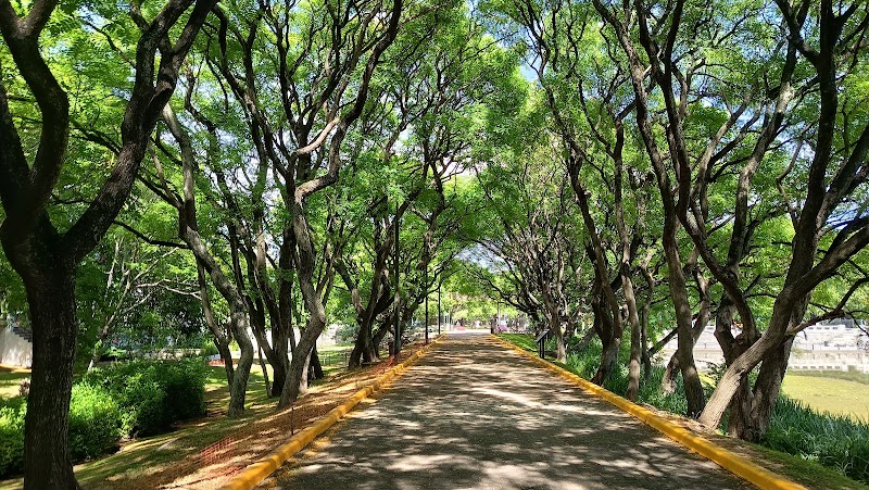 Reserva Ecológica Costanera Sur - Reserva Ecológica Costanera Sur, Puerto Madero, C1107 Buenos Aires, Argentina