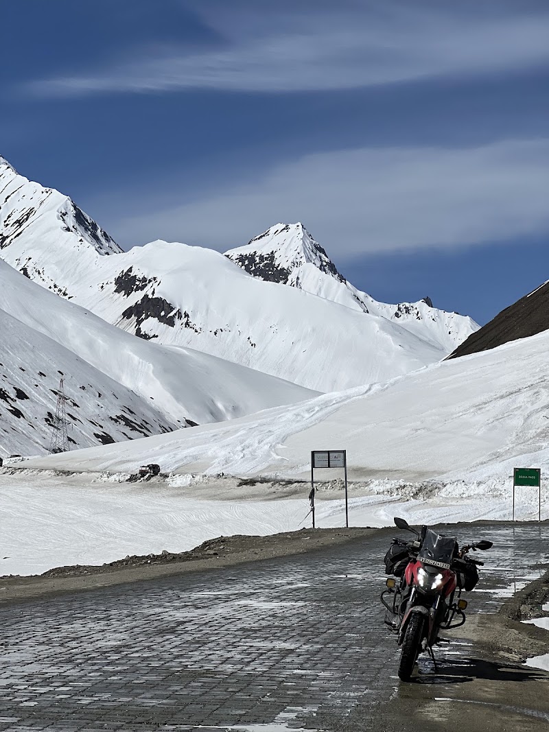 Zojila Pass - Zojila Pass, Forest Block 191202