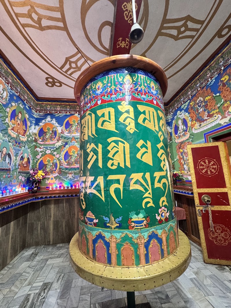 Namgyal Monastery - Namgyal Monastery 68MF+2X2, Temple Rd, McLeod Ganj, Dharamshala, Himachal Pradesh 176215, India
