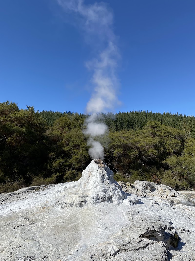 Lady Knox Geyser - Lady Knox Geyser 201 Waiotapu Loop Rd, Rotorua, Waiotapu 3073, New Zealand