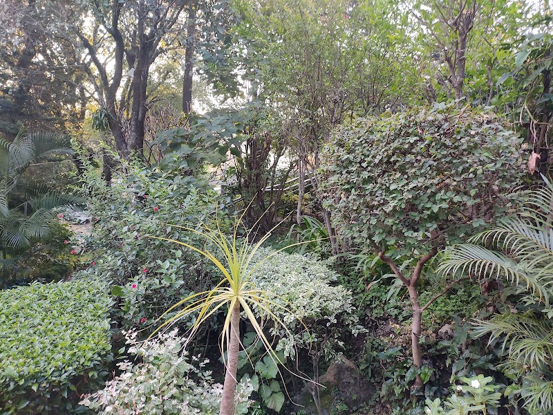 Rising Sun Retreat - Rising Sun Retreat near Old Municipal Check Post, Mount Abu, Rajasthan 307501, India