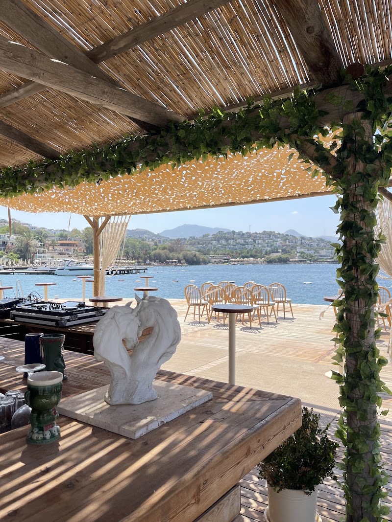 Villa Azur Restaurant & Beach Club Bodrum - Villa Azur Restaurant & Beach Club Bodrum, Tilkicik Koyu Yalıkavak, Dirmil, Flıpper Sk. No:9 EA D:1, 48990 Bodrum/Muğla, Türkiye