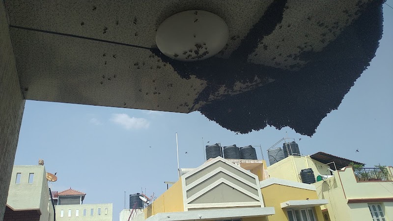NAVIGATOR Pest Control Service Bangalore - NAVIGATOR Pest Control Service Bangalore, 2nd Floor, 1st cross, No. 17/11, Outer Ring Rd, opp. to Dr. Rajkumar Samadhi, opp. to Dr. Ambrish, Punya Bhoomi, Nandini Layout, Bengaluru, Karnataka 560096, India
