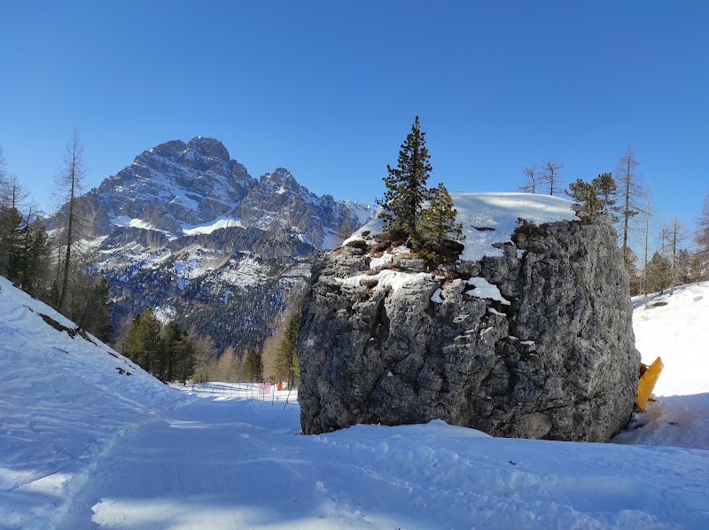 Rifugio Col De Varda - Rifugio Col De Varda, Loc, 32041 Misurina BL, Italy