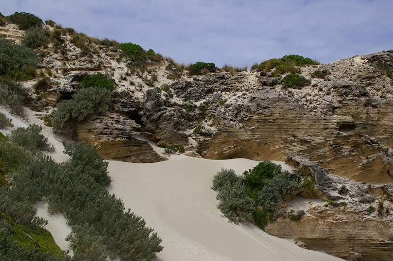 Seal Bay Conservation Park - Seal Bay Conservation Park, Seal Bay Rd, Seal Bay SA 5221, Australia