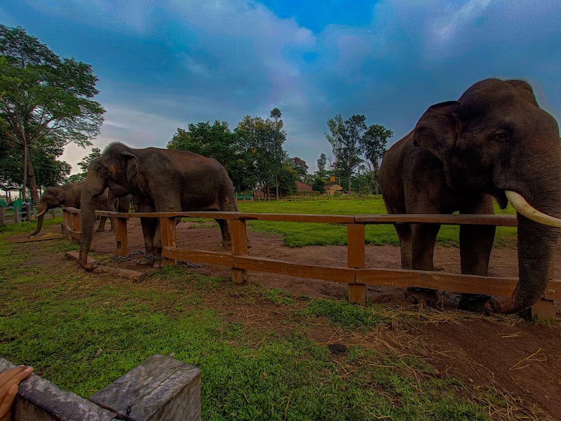 Booking Office of Coorg Dubare Elephant camp - Booking Office of Coorg Dubare Elephant camp Tourism House, 2nd Floor, Papanna Lane, No.8, St Mark's Rd, Shanthala Nagar, Ashok Nagar, Bengaluru, Karnataka 560001, India