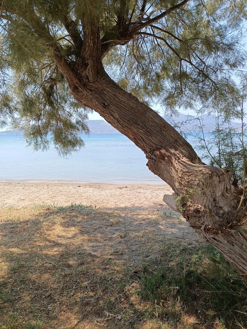 Papikinou beach - Papikinou beach Papikinou beach, Adama-Zephyria, Adamas 848 01, Greece