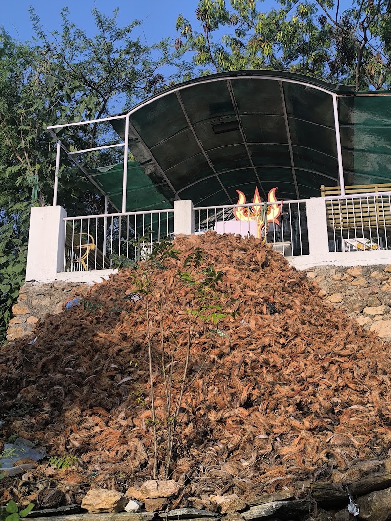 Neemach Mata Temple - Neemach Mata Temple Vinayak Vihar, Roop Sagar Rd, Shanti Nagar, Pahada, Udaipur, Rajasthan 313001, India