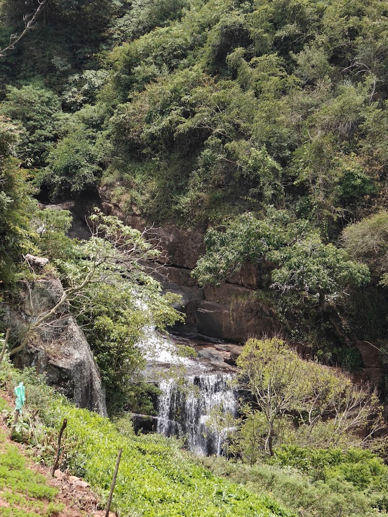 Uyilatty water falls view point - Uyilatty water falls view point FRFM+MC, Unnamed Road, Kukkal, Tamil Nadu 643217, India