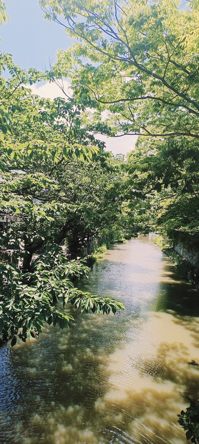 Hachiman-bori Canal Promenade - Hachiman-bori Canal Promenade 1-chōme-19-3 Ikedamachi, Omihachiman, Shiga 523-0876, Japan