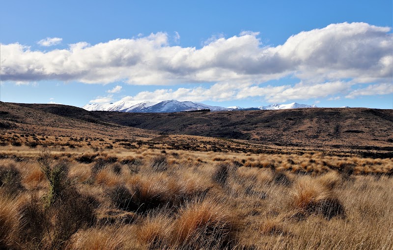 Red Tussock Conservation Area