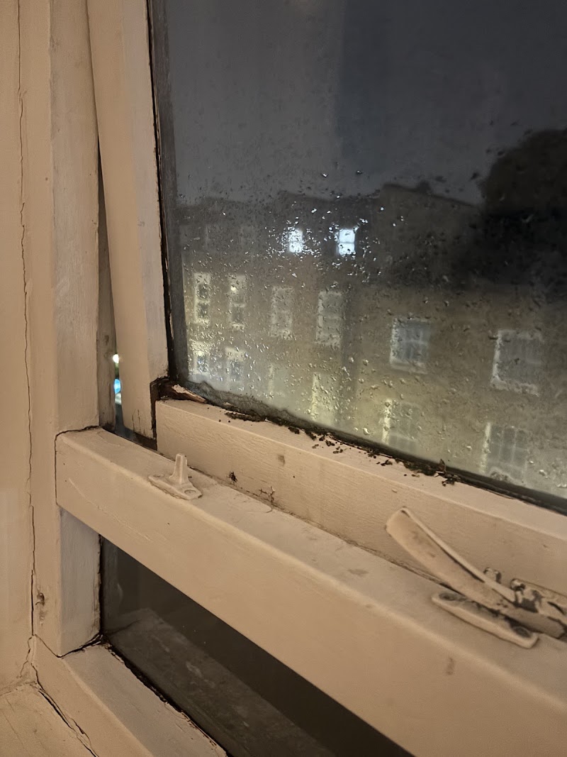 Lovely Private Rooms in Euston, Central London
