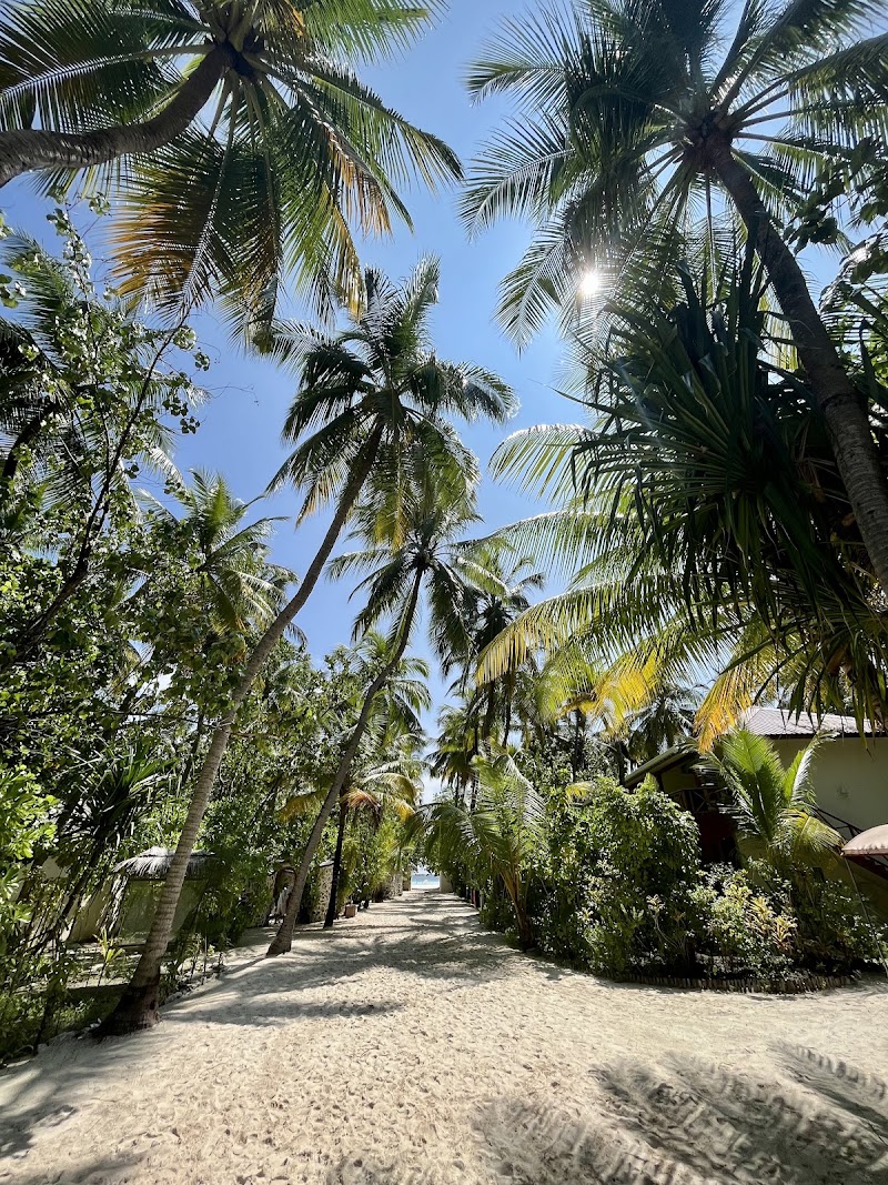 Maayafushi Island Resort - Maayafushi Island Resort, 3VFQ+F2F, Maayaafushi, Maldives