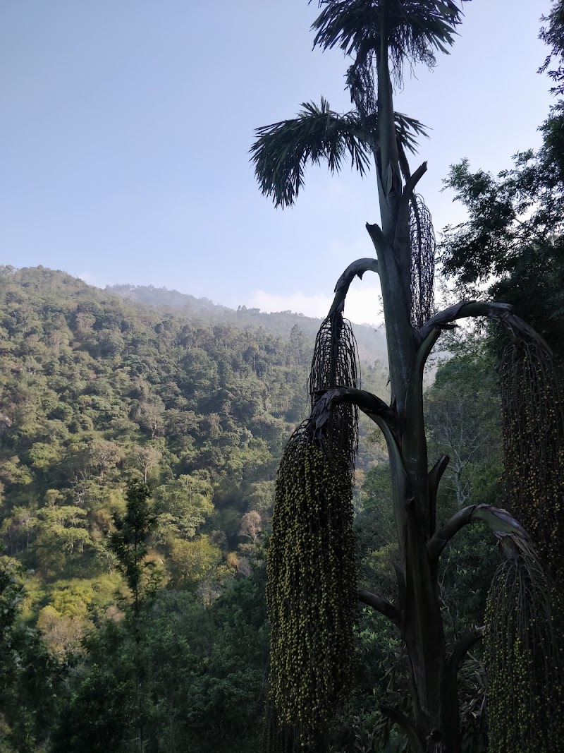 Kiliyur Falls - Kiliyur Falls Q6W2+CF7, Killiyur Road, Kiliyur, Tamil Nadu 636602, India