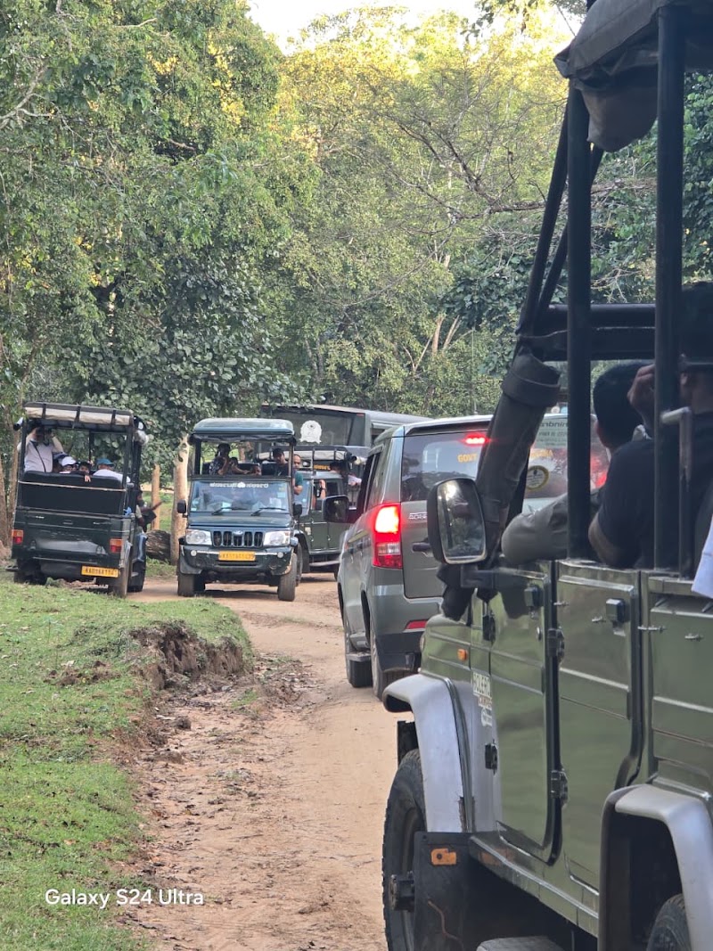 Nagarhole Safari Booking - Nagarhole Safari Booking, post office Safari point, Nagarhole Rd, Karnataka 571106, India