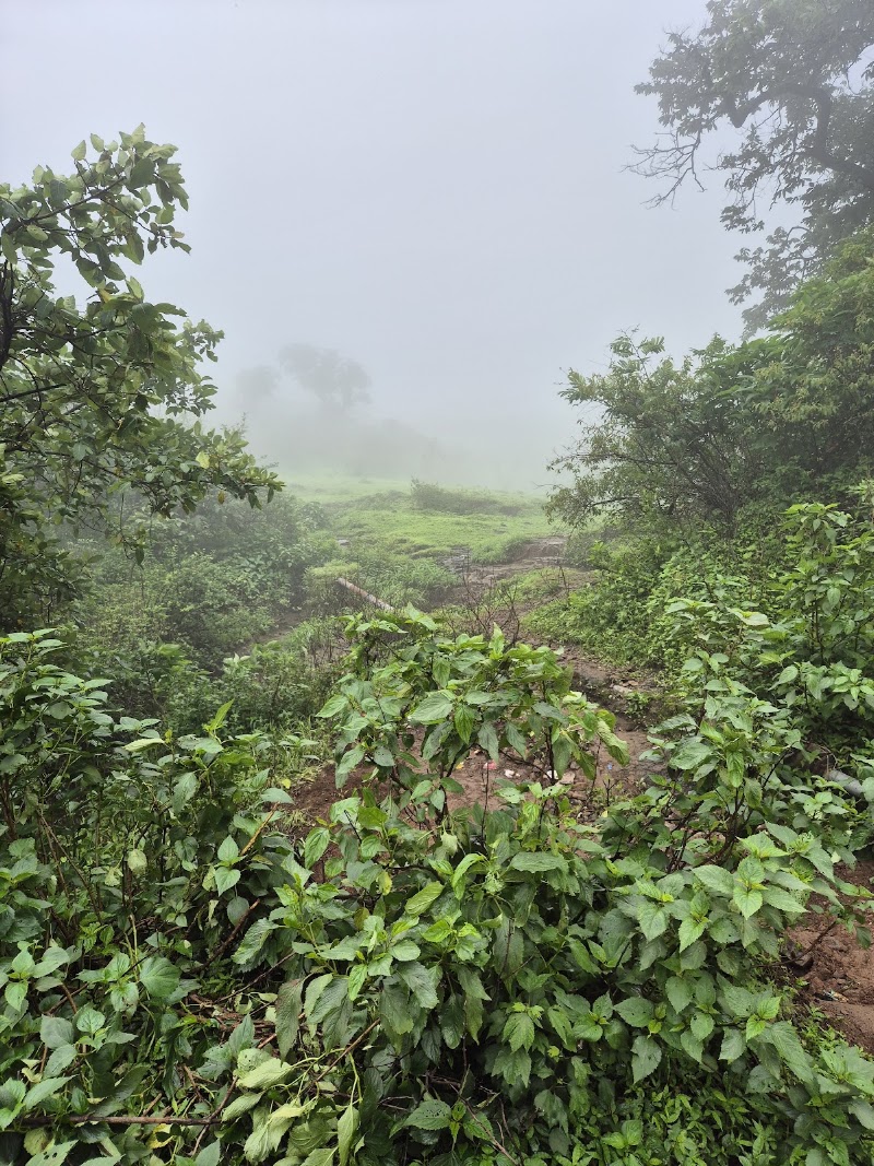 Governor Hill - Governor Hill HP8V+PP5, Governor Hill Trail, Saputara, Gujarat 394720, India