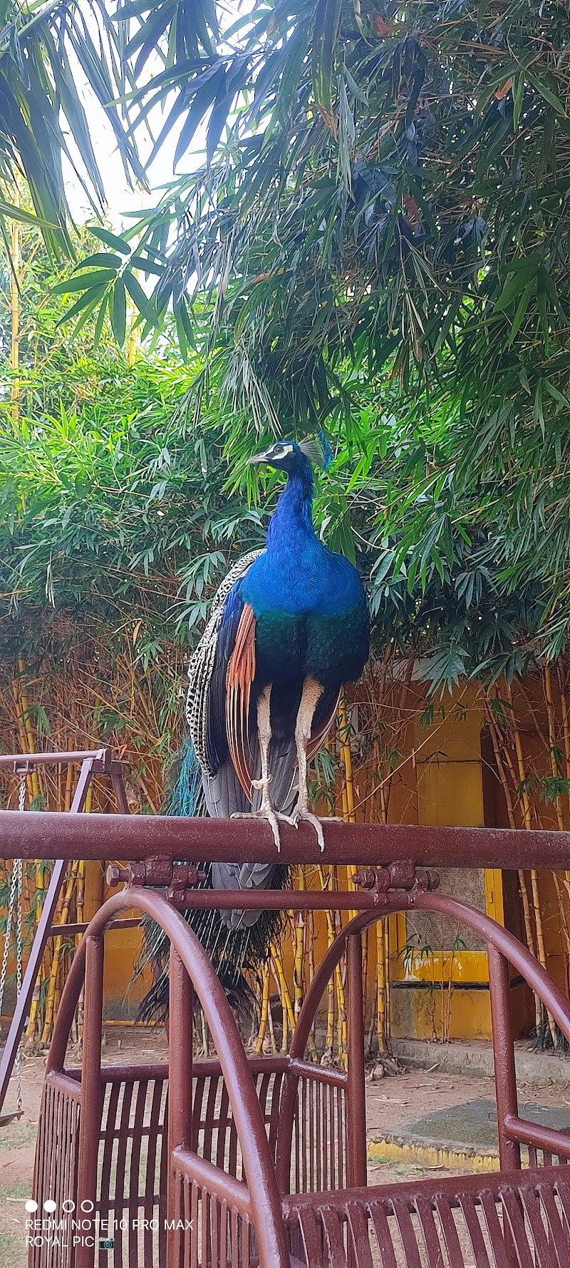 Anaya Resort - Anaya Resort, Karka, Chhattisgarh 495113, India