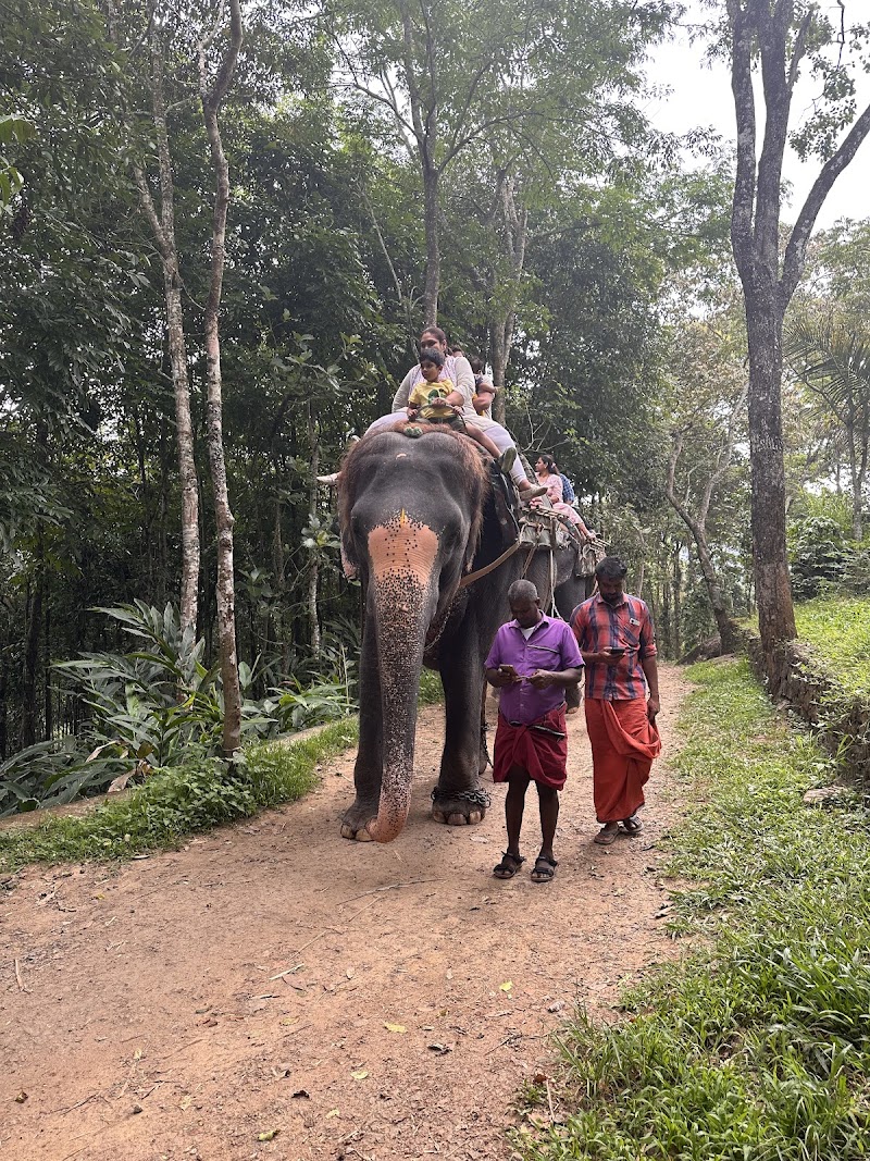 Trip Masterz India - Tour Operators - Trip Masterz India - Tour Operators, Room No.10/646, Bus Stop, Nambyaarkunnu Road, near Kudukki, Cheeral, Kudukki, Kerala 673595, India