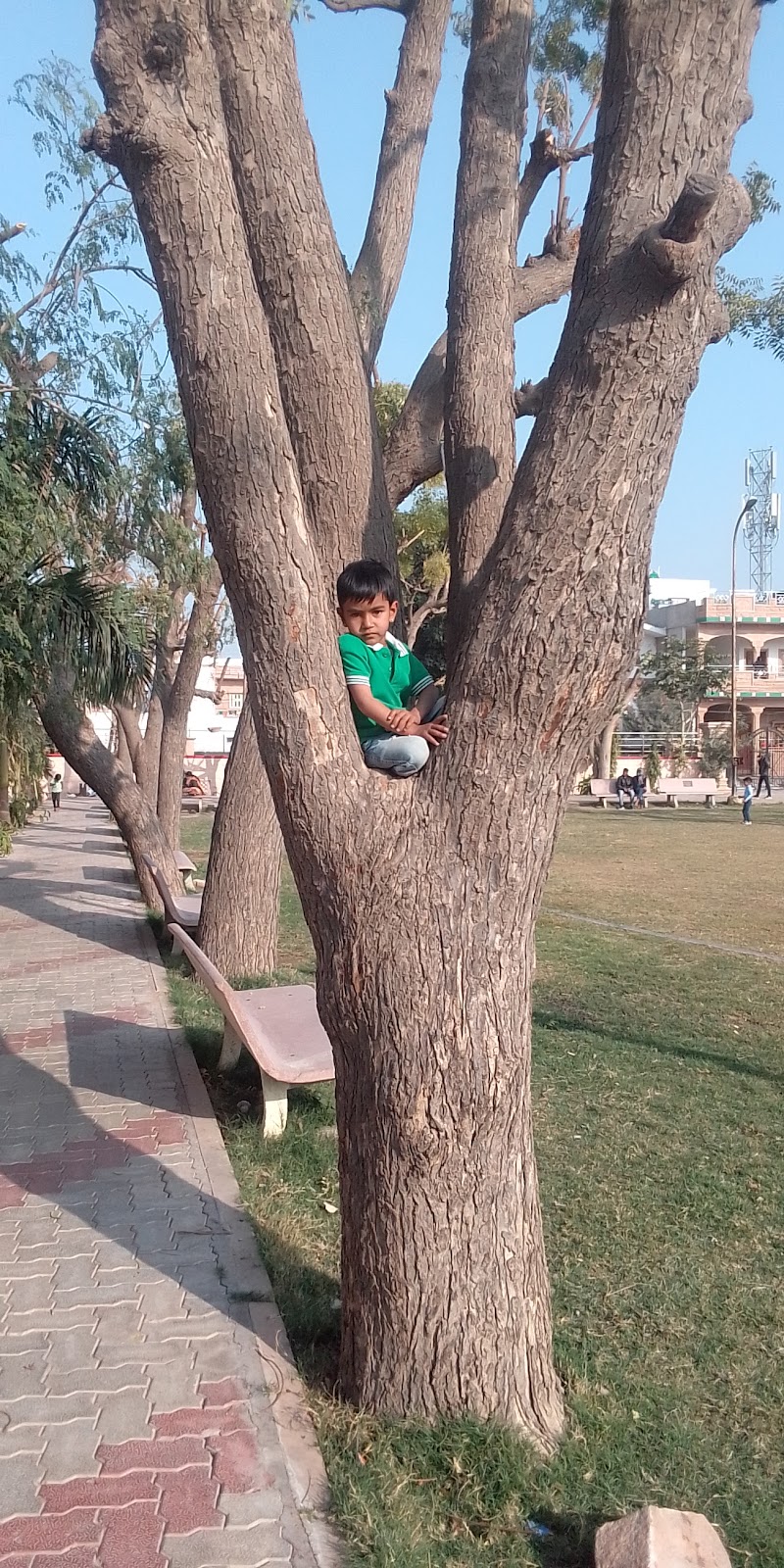 Veer Durgadas Park - Veer Durgadas Park 8324+MMW, BJS Colony, Jodhpur, Rajasthan 342006, India