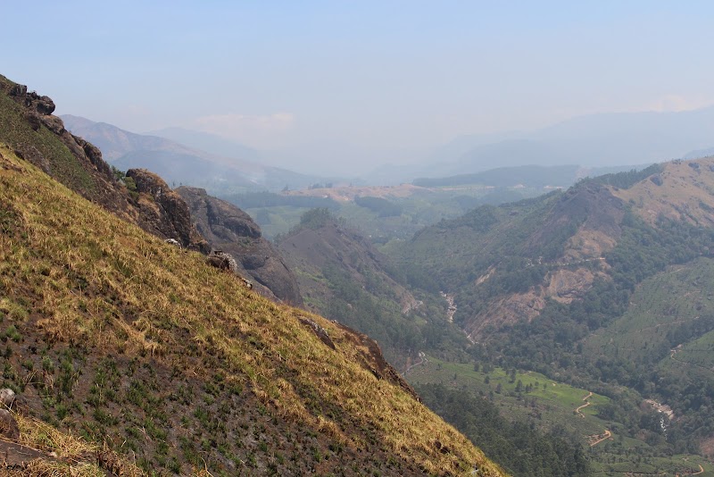 Tea estate view point - Tea estate view point 5/135, Pothamedu, Munnar, Kerala 685612, India
