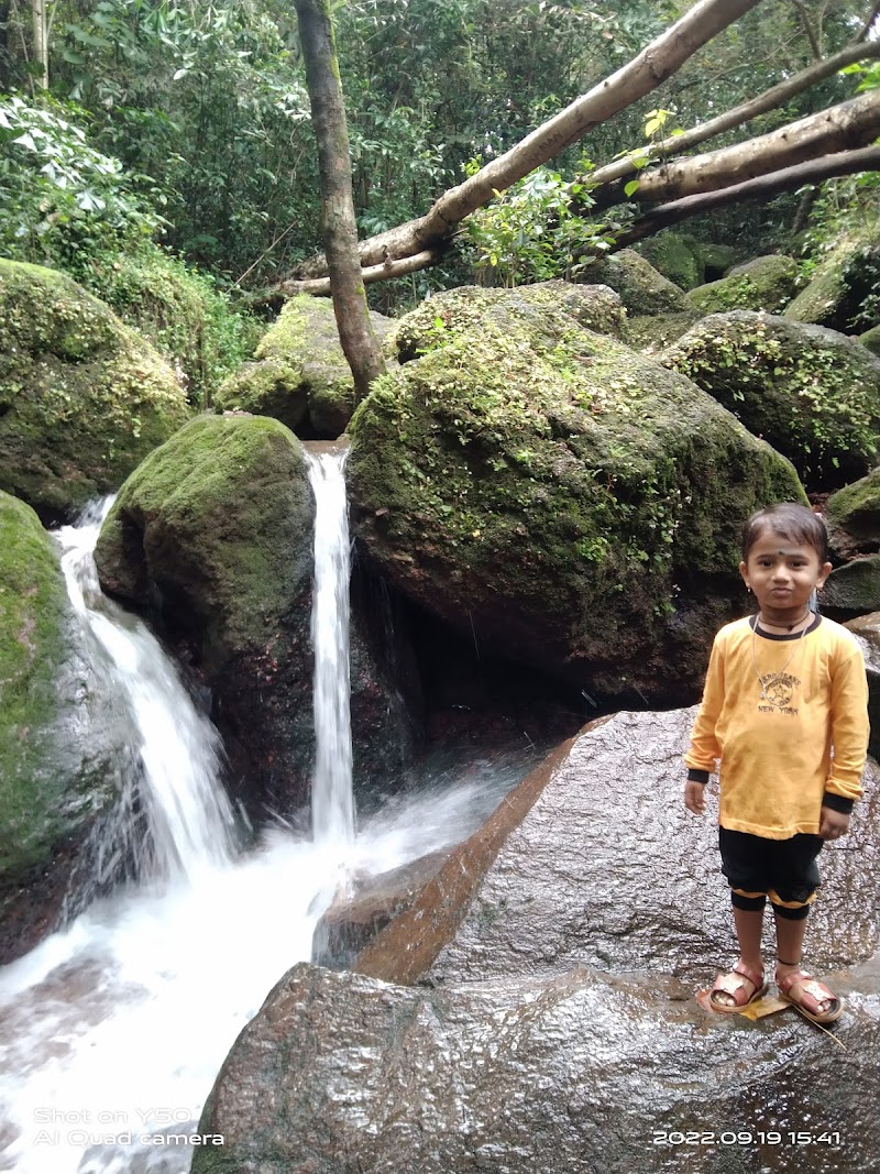 Arbi Falls - Arbi Falls 8QPV+MCR, Manipal, Dasharath Nagar, Badagabettu, Karnataka 576104, India