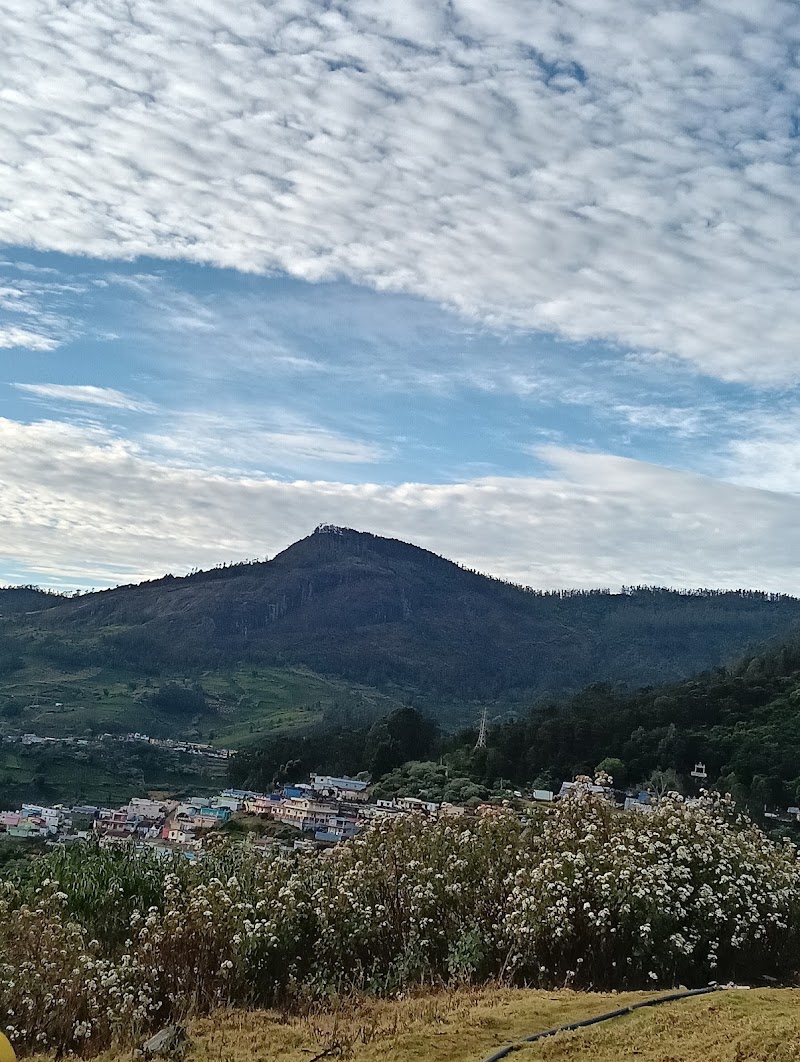 Ooty Hill Station - Ooty Hill Station Kandal, Ooty, Tamil Nadu 643001, India