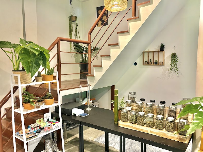 Y Si Dispensary - Y Si Dispensary, Soi Phueng Suk, Khwaeng Phra Khanong Nuea, Watthana, Krung Thep Maha Nakhon 10110, Thailand