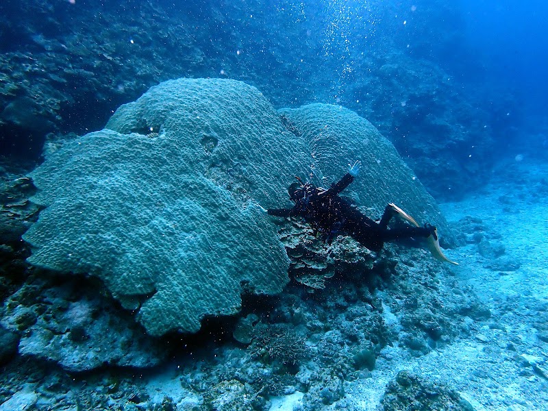 SEAKERS SSI Scuba Diving Center in Okinawa