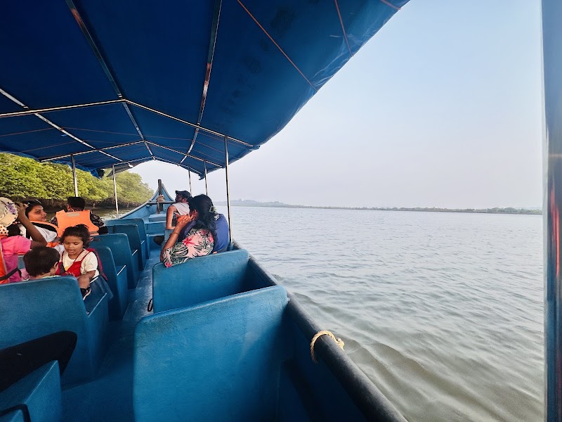 Mangrove Boat Ride (Prior booking required) - Mangrove Boat Ride (Prior booking required) Chorao Jetty, Madel, Goa 403102, India